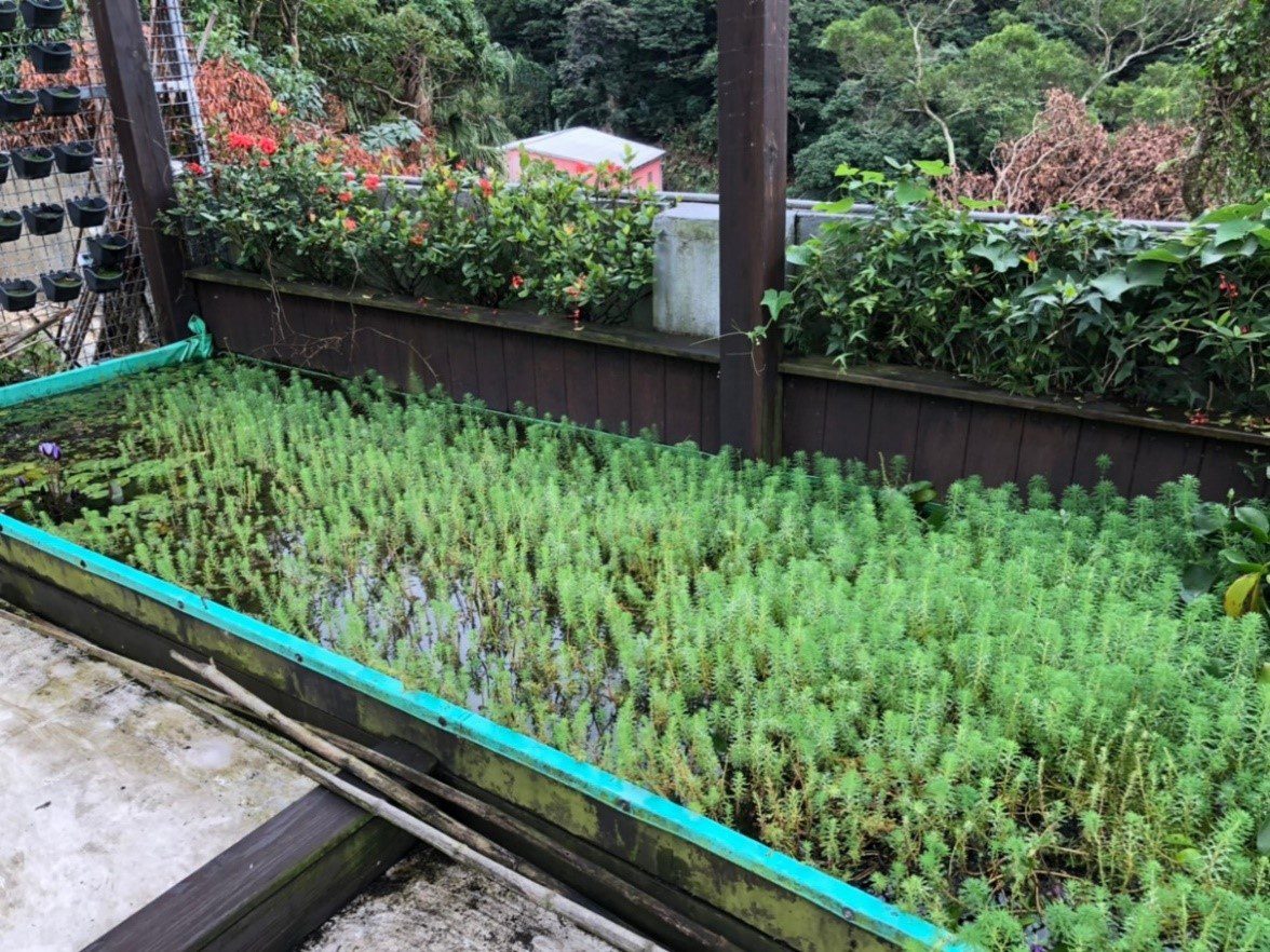 全台縣市第一！  新北市農業局成為聯合國里山倡議夥伴