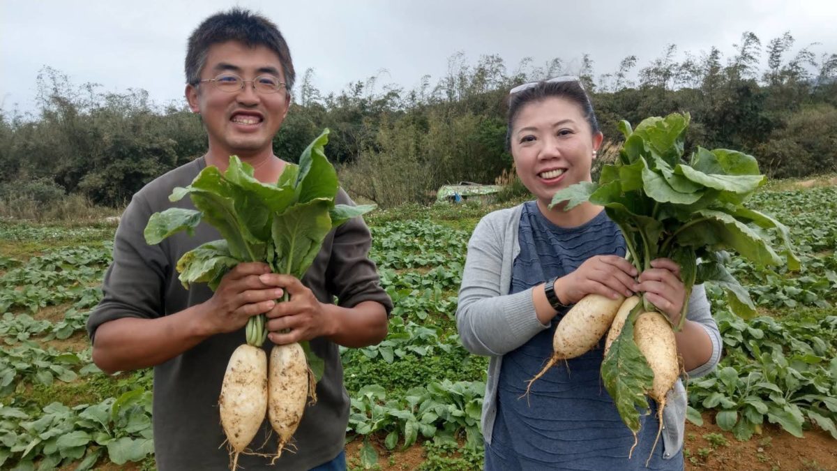 三芝蕃婆林休閒農場  體驗新鮮直採美味白蘿蔔