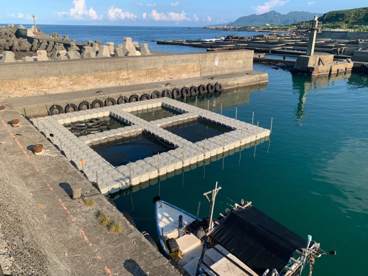 美灩山漁港首創栽培漁業中間育成基地  為海洋資源復育添助力