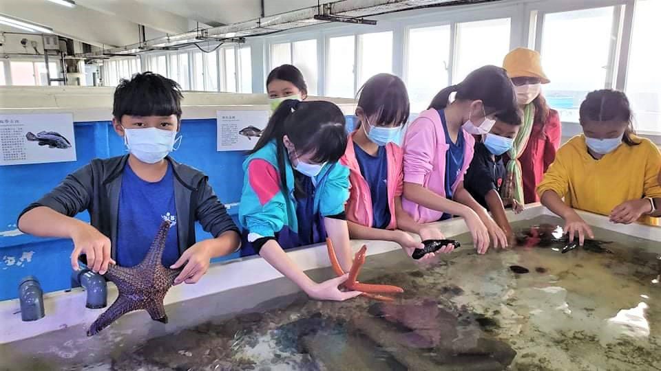 冬季限定   貢寮海洋資源復育園區看九孔寶寶
