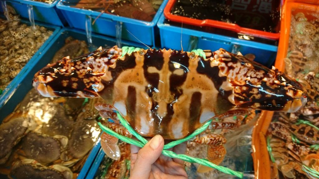 春天螃蟹非常考驗眼光，花蟹碩大又美味