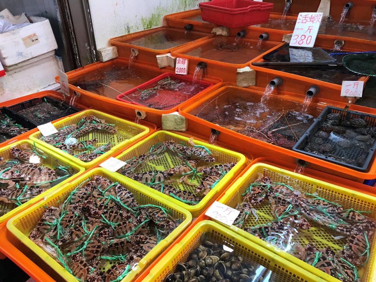過年走春北海岸   春天螃蟹教你挑