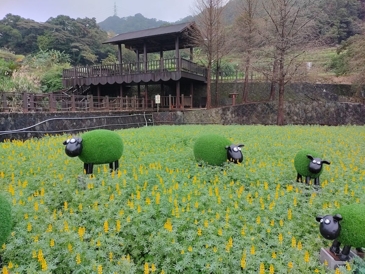 貓空山城魯冰花開喜迎春   集章贈禮包再抽千元折價券