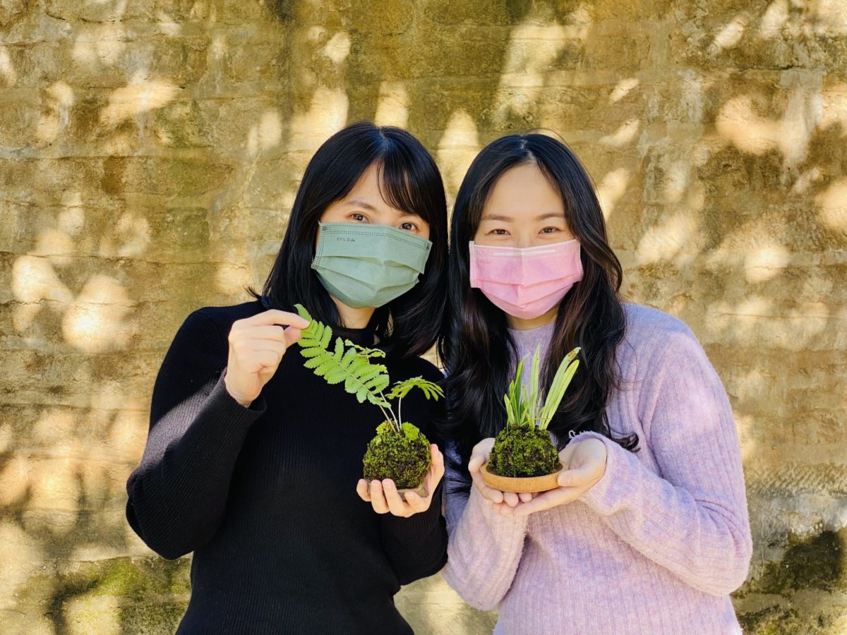 淡古響應國際森林日   限定專場植物導覽、苔球DIY