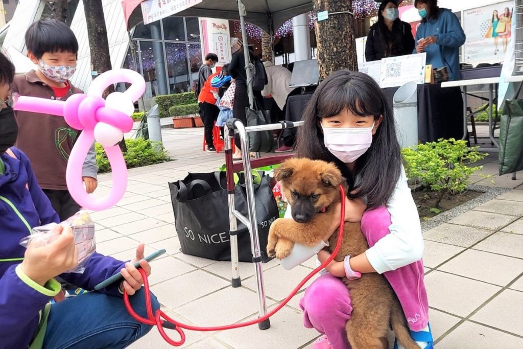 ▲府中15將於本週六舉辦《浪浪回家》特映會暨動物認養活動，為流浪動物站台並舉辦認養活動。(圖/新北市動保處提供)