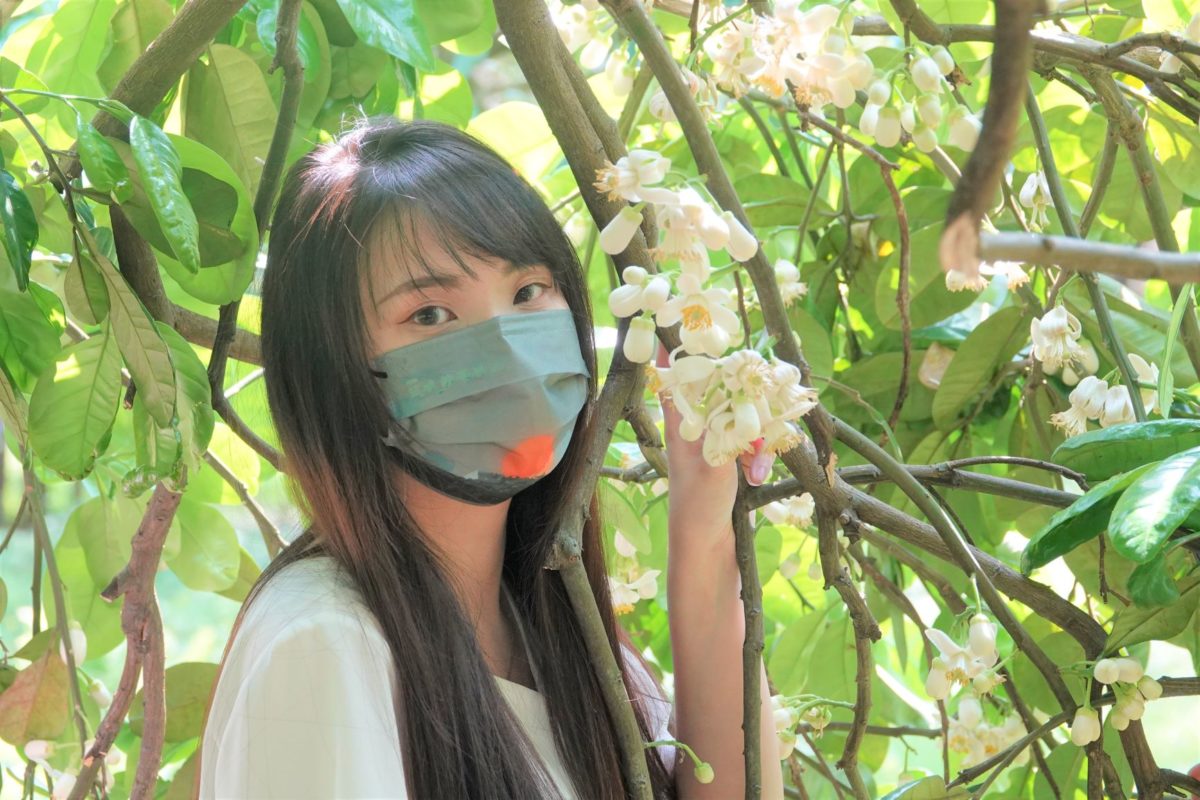 漫遊八里   賞柚香美食及絕妙秘境