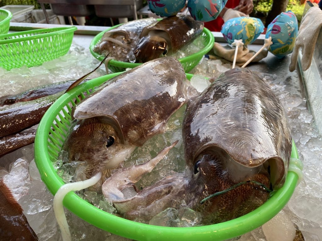花枝促銷攤位,魚鮮美食令人食指大動。