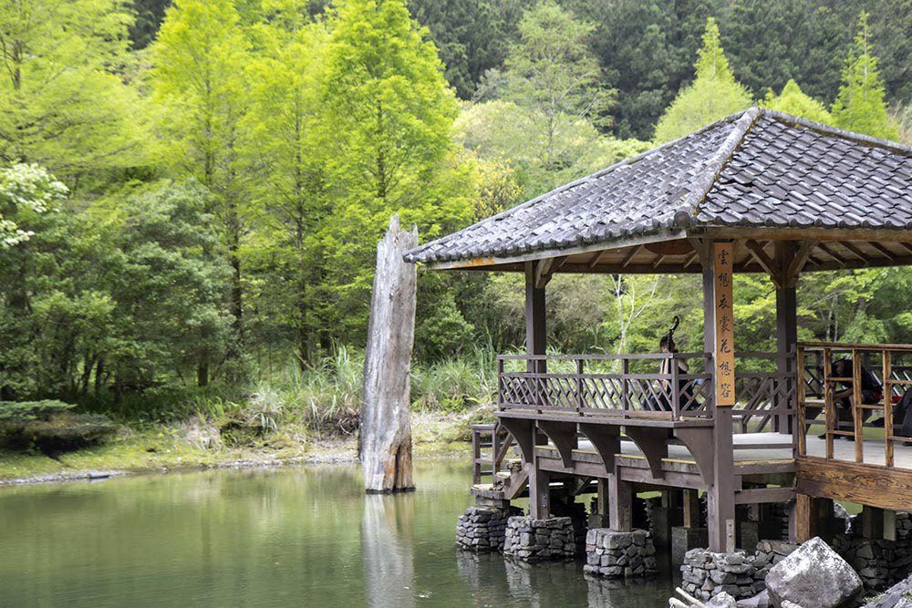 力麗馬告生態園區的明池森林遊樂區,是臺灣首屈一指的觀光旅遊景點。