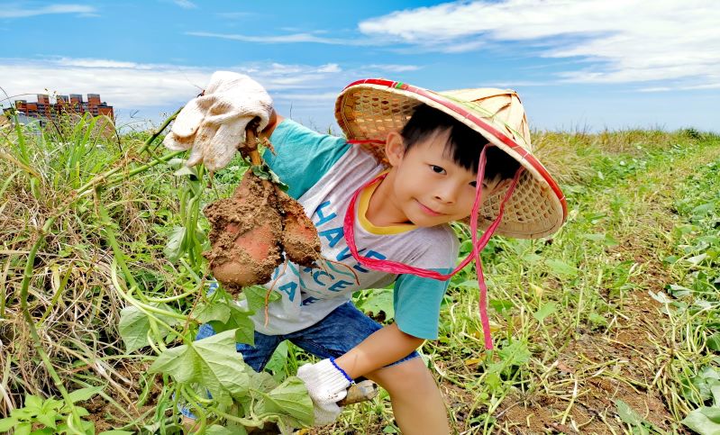 ▲經發局青春山海線伴手禮首創「買禮盒、送遊程」方案,帶領民眾暢遊北海岸風光 。(圖/經發局提供)