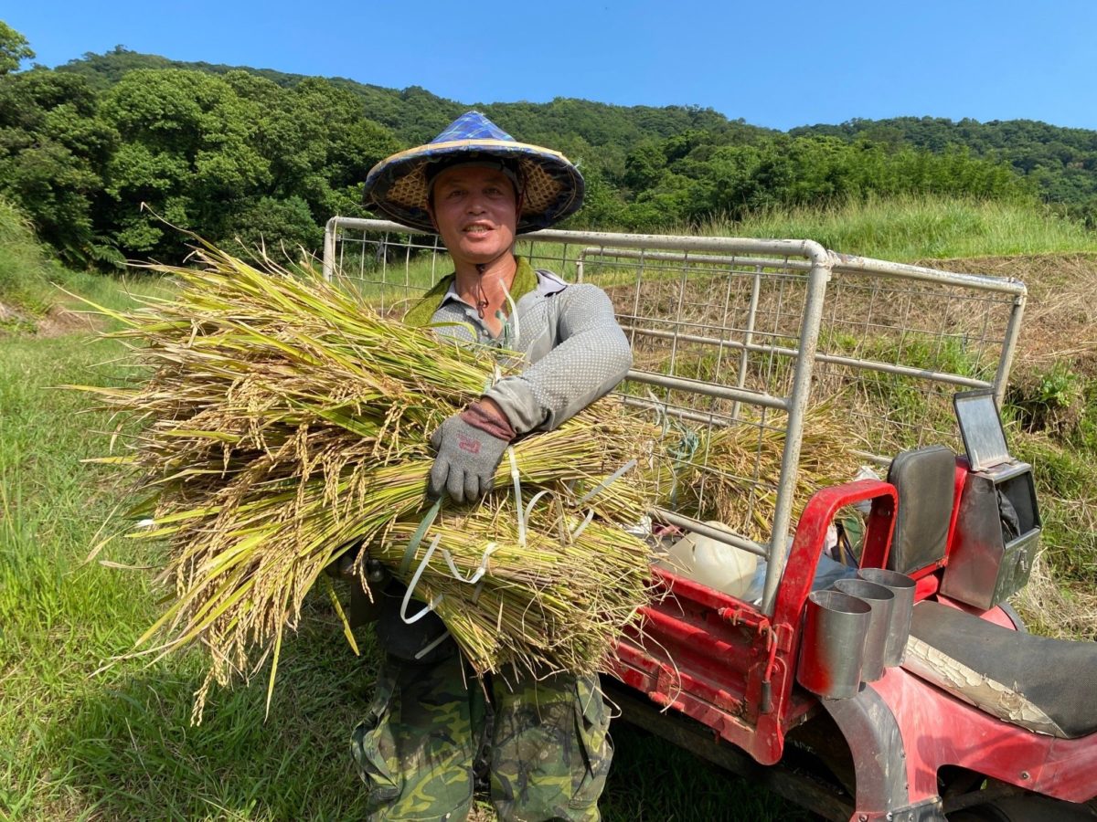 美味農業得來速   新北農業推居家料理美食新亮點