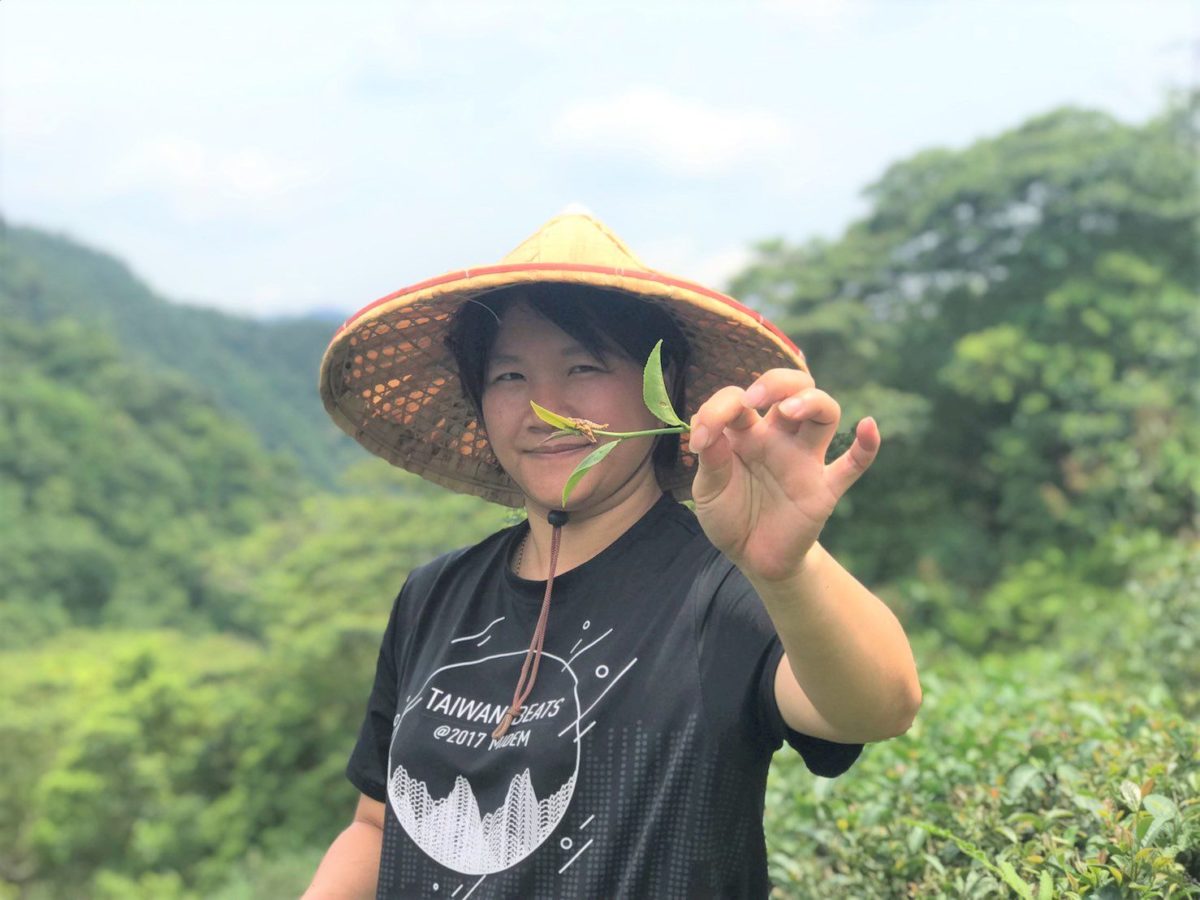 天然ㄟ尚好   坪林女青農不怕醜   邀您品嘗有機好茶