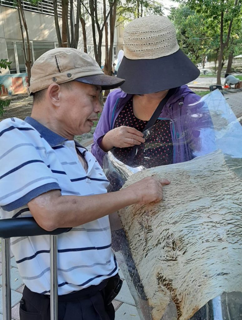 李永謨老師(左)講解樹皮的紋路與再生結構。
