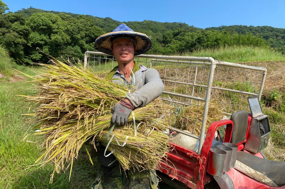 「美味農業得來速」料理大賞   上傳居家美食照抽好禮