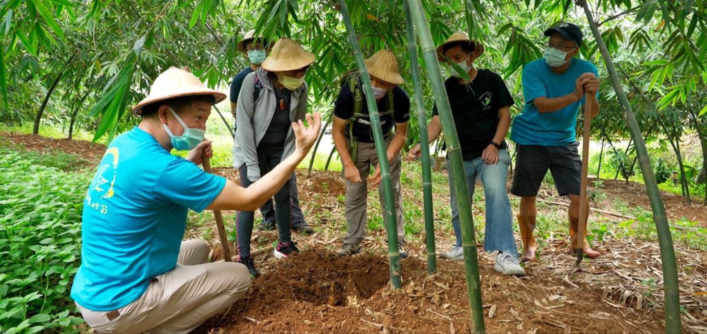 綠竹社區以生產綠竹筍而聞名。