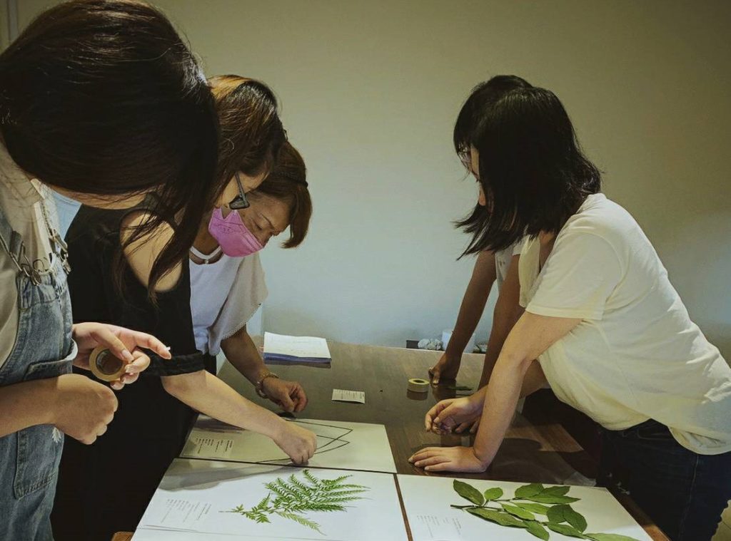 茶博館「茶山學特展」中展出的植物標本都是由館員一手包辦