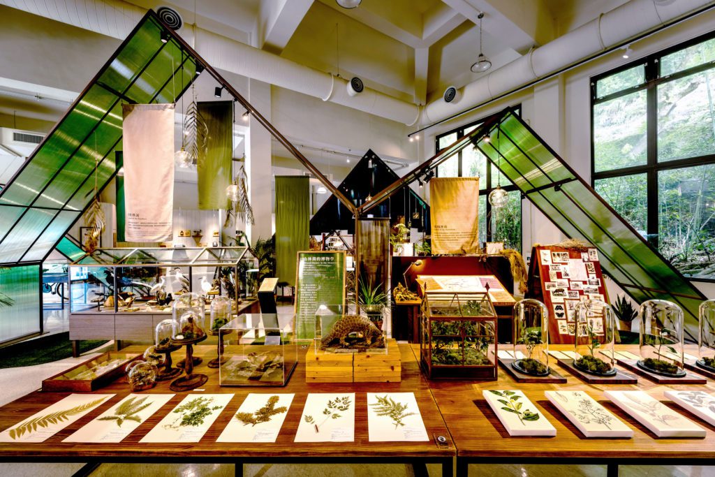 農委會林業試驗所研究員指導茶博館館員製作展場植物標本