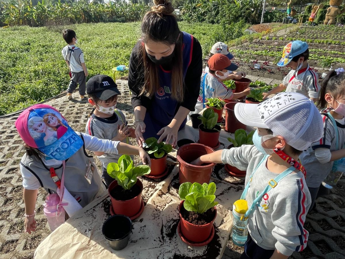 關渡轉作食農基地   邀市民免費體驗種植菜盆