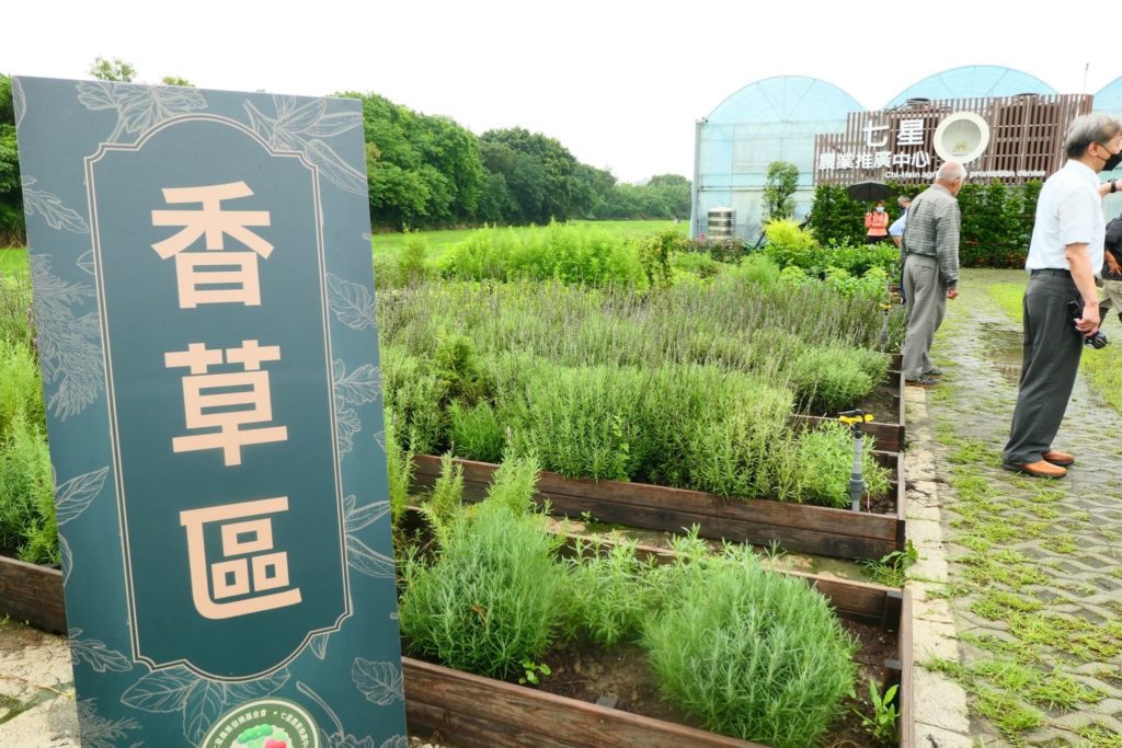 ▲食農教育體驗活動呈現農業發展的特色。(圖/台北產發局 提供)