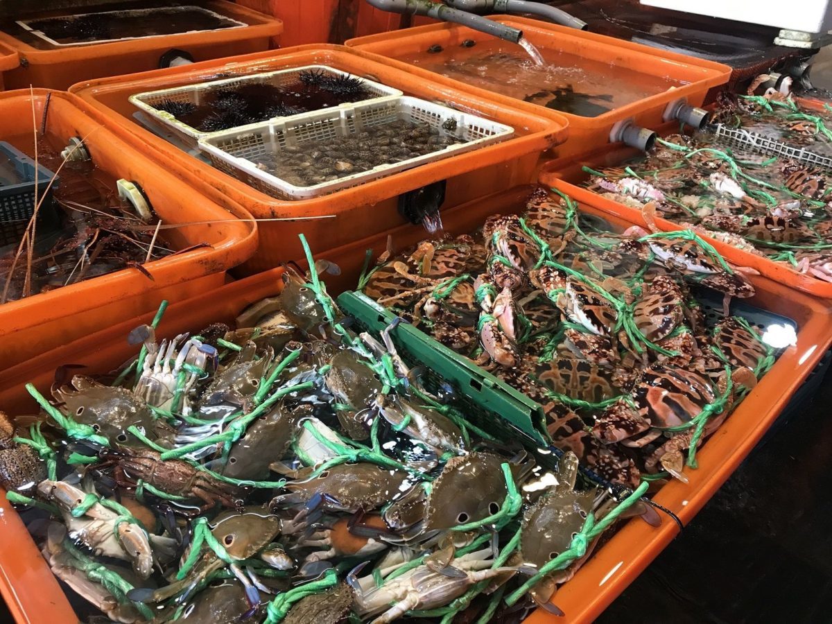 來客達千萬   龜吼漁夫市集前遊客摸彩贈好禮