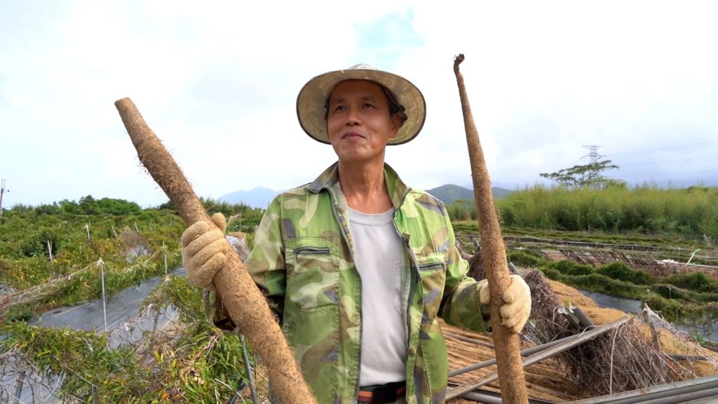 ▲貢寮農民獲山藥原生組冠軍的吳國賢，獲得殊榮實至名歸。（圖/新北農業局 提供）