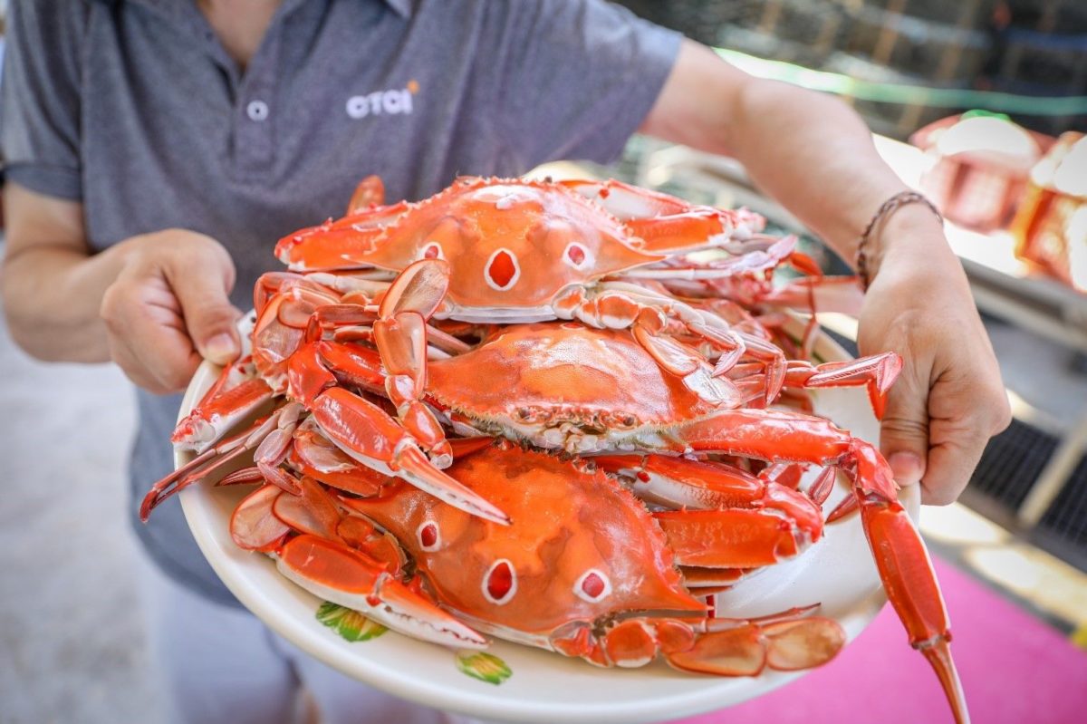 萬里蟹蟹正當食   國慶連假來北海岸不虛此行