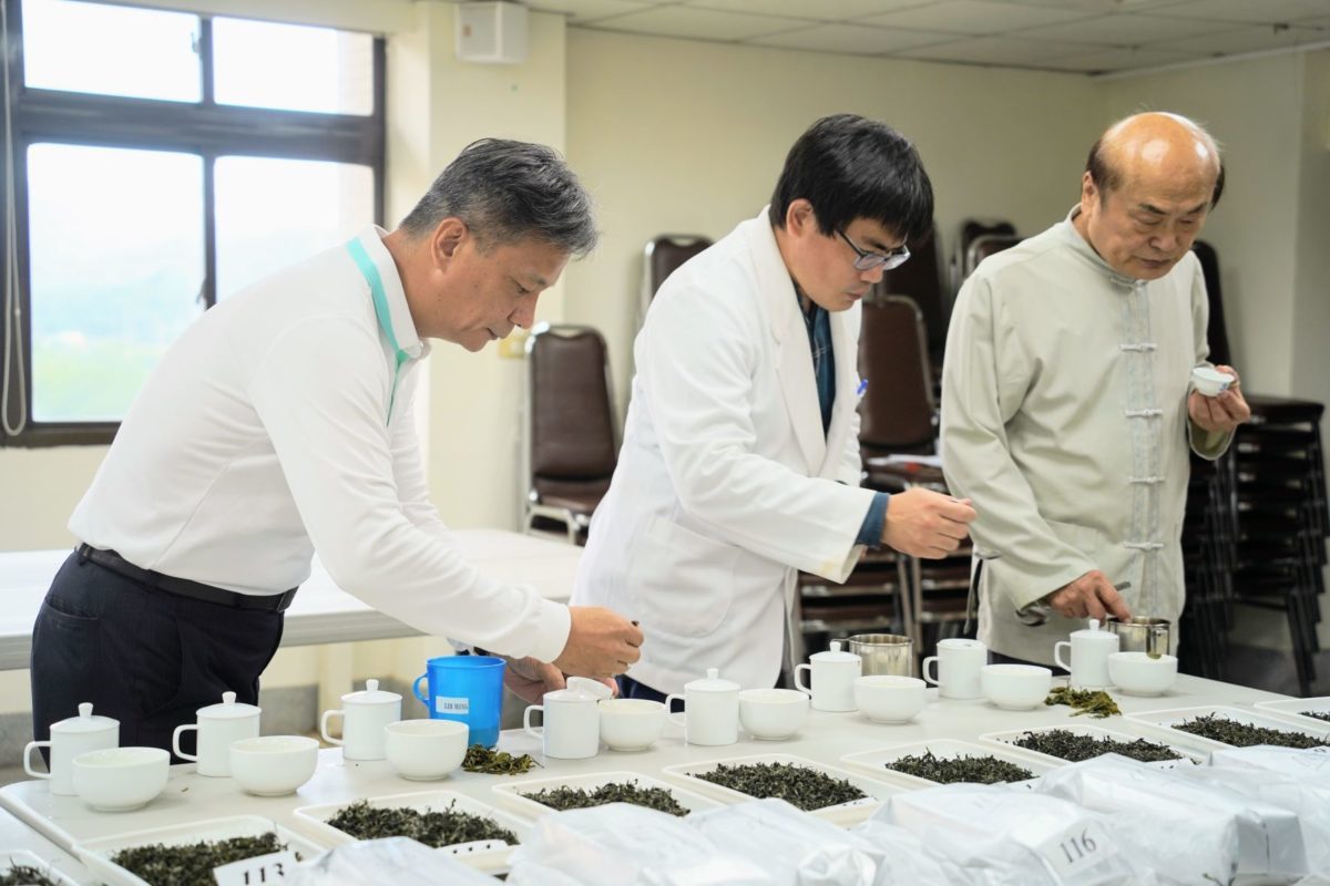 三峽碧螺春冬季評鑑出爐   天芳茶行林孟諭奪今年特等獎