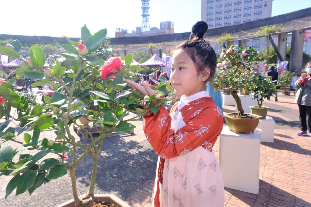 ▲竹縣茶花季今年首度結合漢服,也吸引全台熱愛漢服的鄉親參與。(圖/竹縣文化局 提供