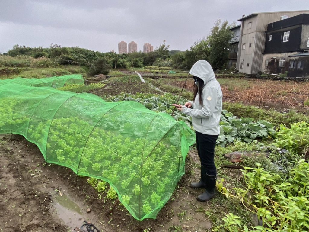 ▲防止農業災害,採取必要的防護措施勢在必行。(圖/新北農業局 提供)