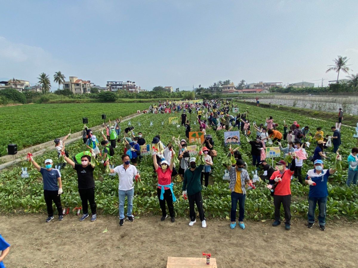 中華郵政舉辦美濃嘿呦拔蘿蔔活動  振興地方觀光