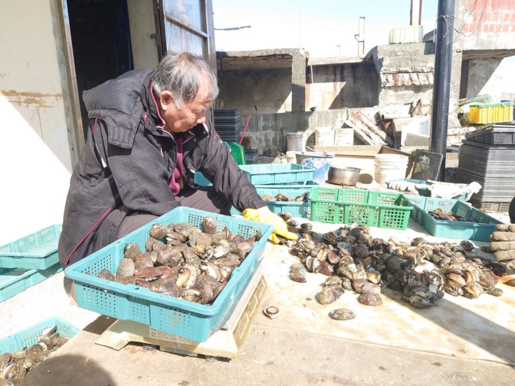 ▲採撈上岸的鮑魚是鮮味極致的美食海味。(圖/新北漁業處 提供)
