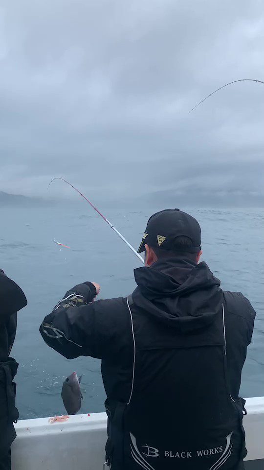 頂浪高手辛苦奮鬥後釣獲大黑毛