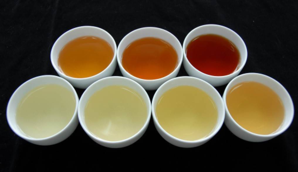 ▲不同的茶類有不同的湯色、香氣、滋味。(圖/賴正南 提供)