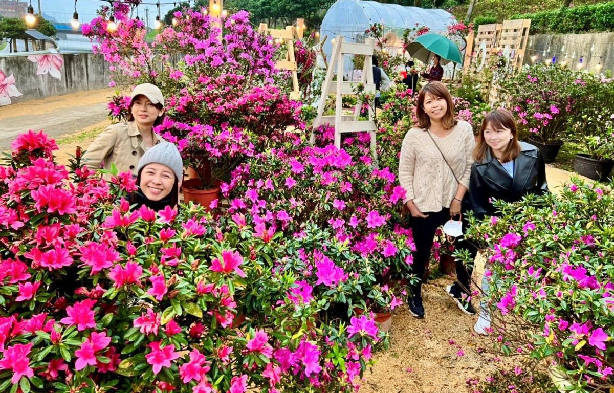 萬金杜鵑2月25日開展   20位藝術家聯手打造移動花聚落
