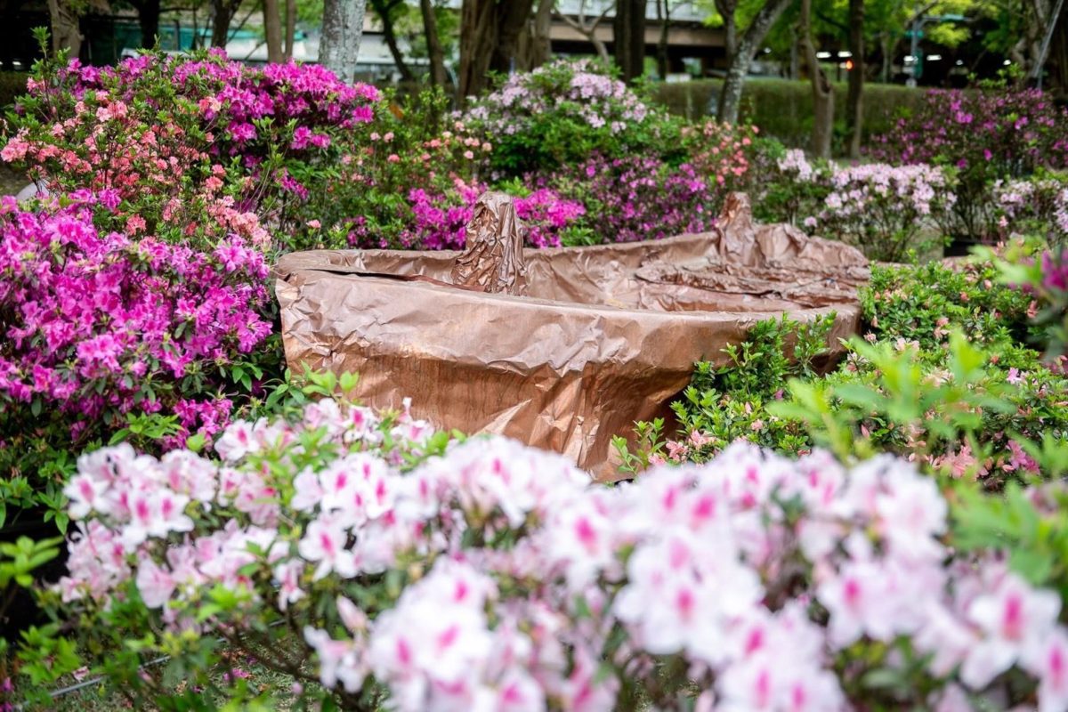 萬金杜鵑花展移展大安森林公園   雙北聯手行銷杜鵑
