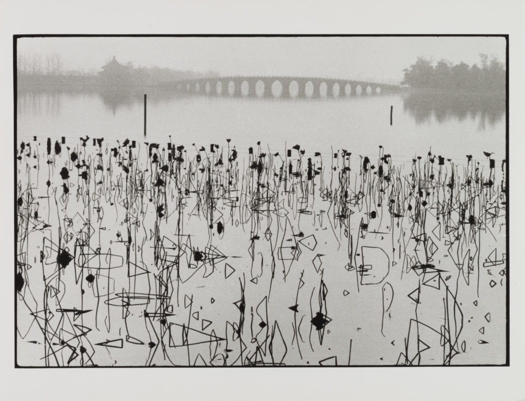 勒內.布里,《昆明湖上凋謝的蓮花,北京夏宮,中國》,1964。(圖/臺北市立美術館提供)