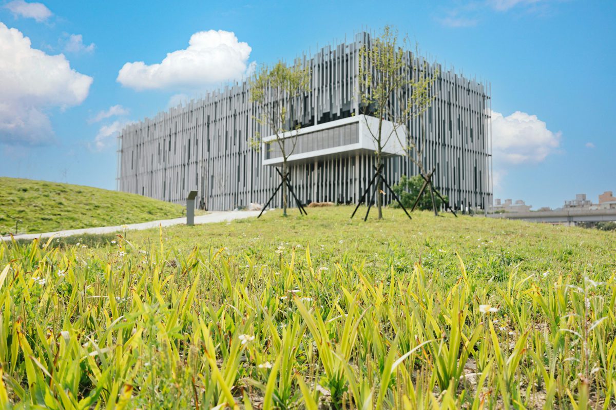 新美館「太陽餐桌」  邀民眾一起草地野餐共創！