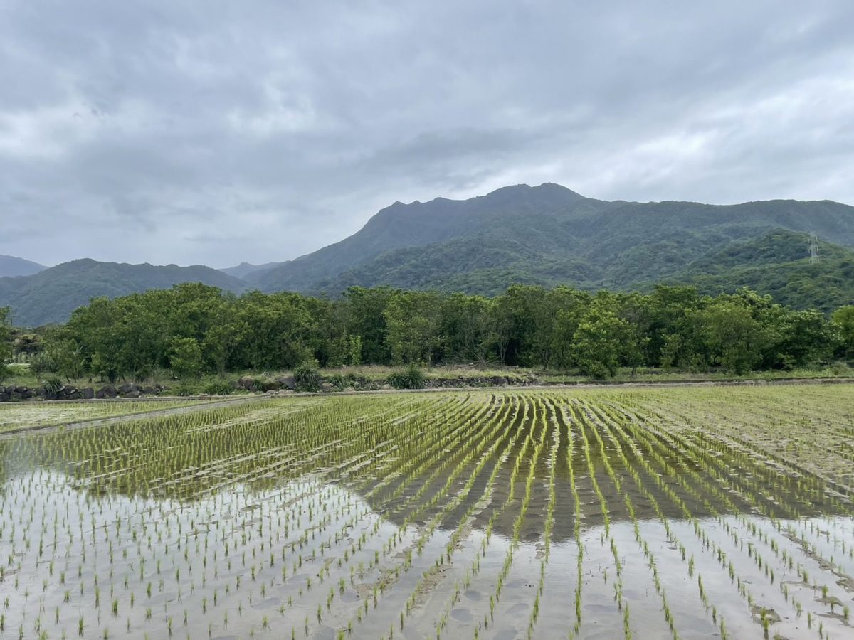 世界地球日新北開放申請生態服務給付   每公頃最高領7萬