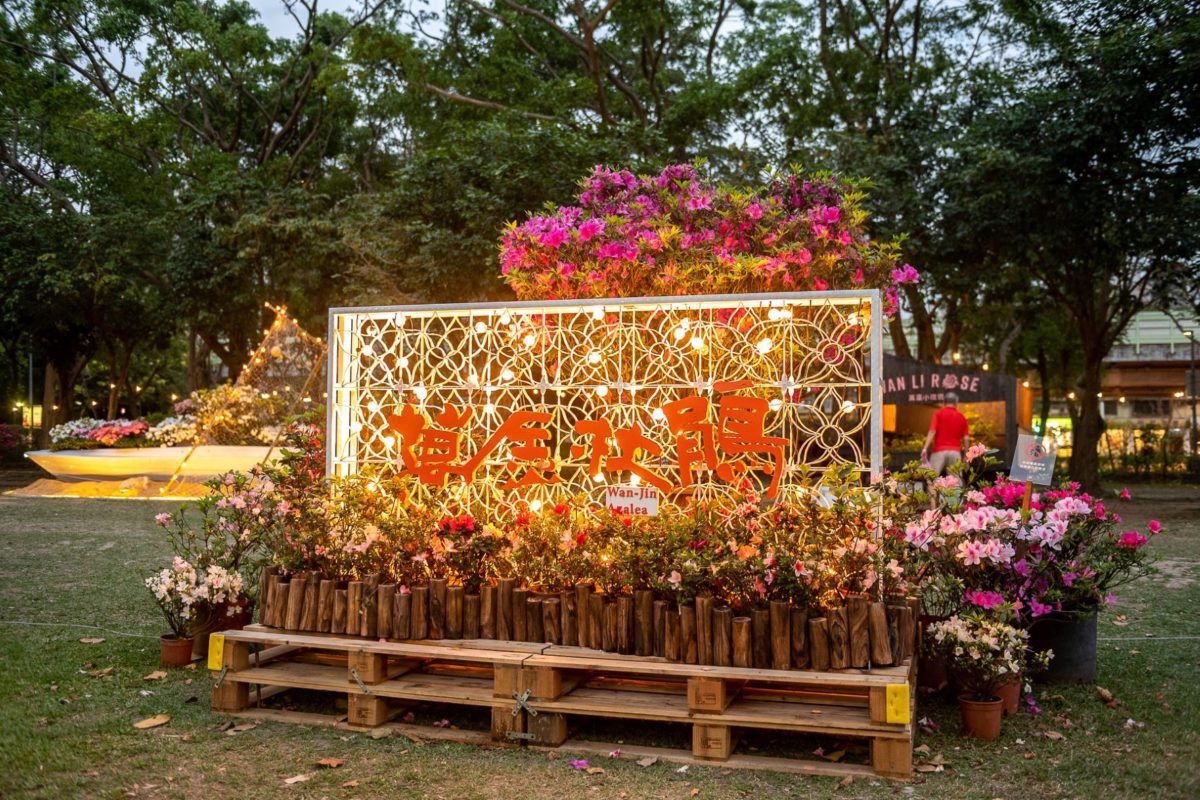 日夜皆吸睛　連假大安森林公園賞萬金杜鵑