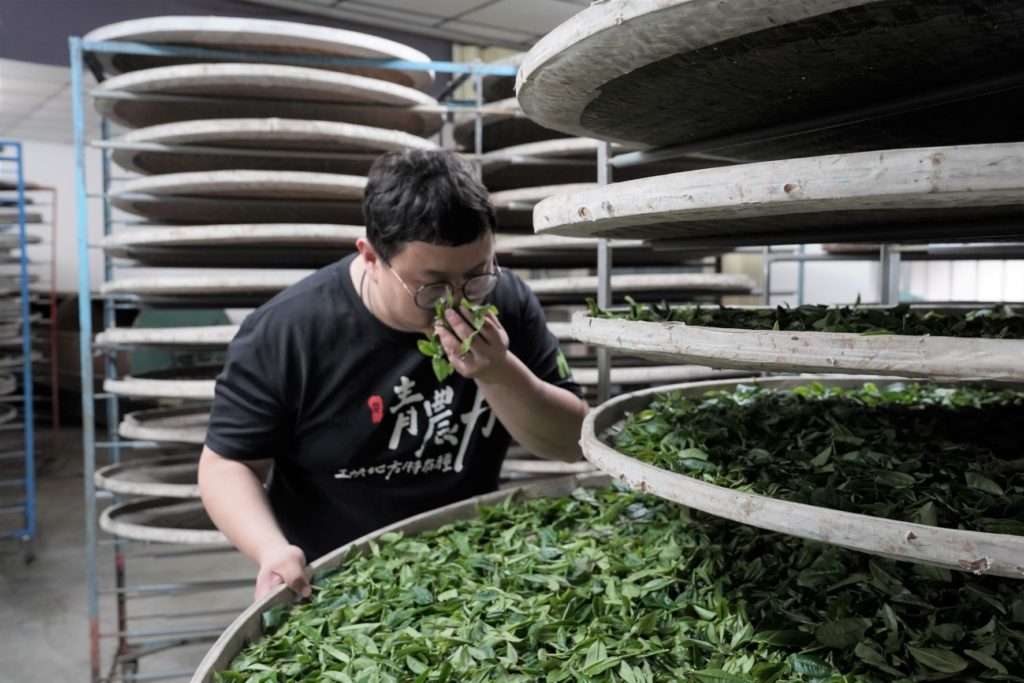 ▲茶香撲鼻讓人對品茗格外熱衷。(圖/新北市農業局 提供)
