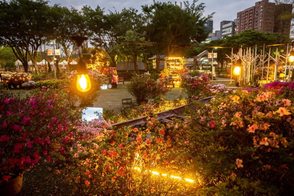 ▲雙市合作的杜鵑花移展,日夜都受到矚目。(圖/新北農業局 提供)