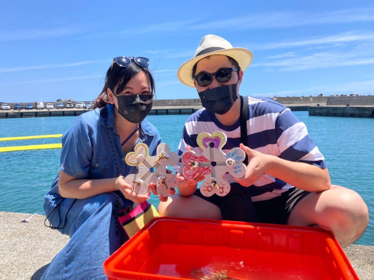 和美漁港珊瑚復育有成   珊瑚寶寶茁壯生長頗為壯觀