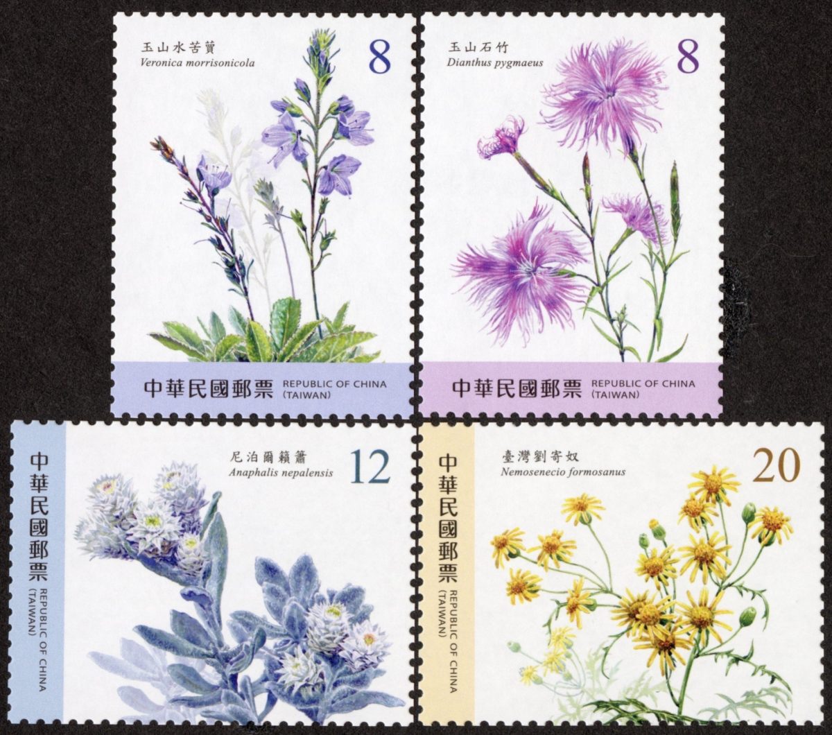 中華郵政發行高山植物郵票   強調臺灣花卉之美