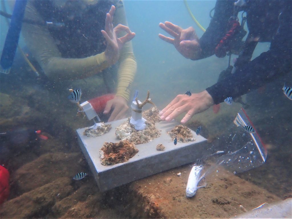 ▲海底觀察與研究珊瑚的樣態,是學習的重要內容。(圖/新北漁業處 提供)
