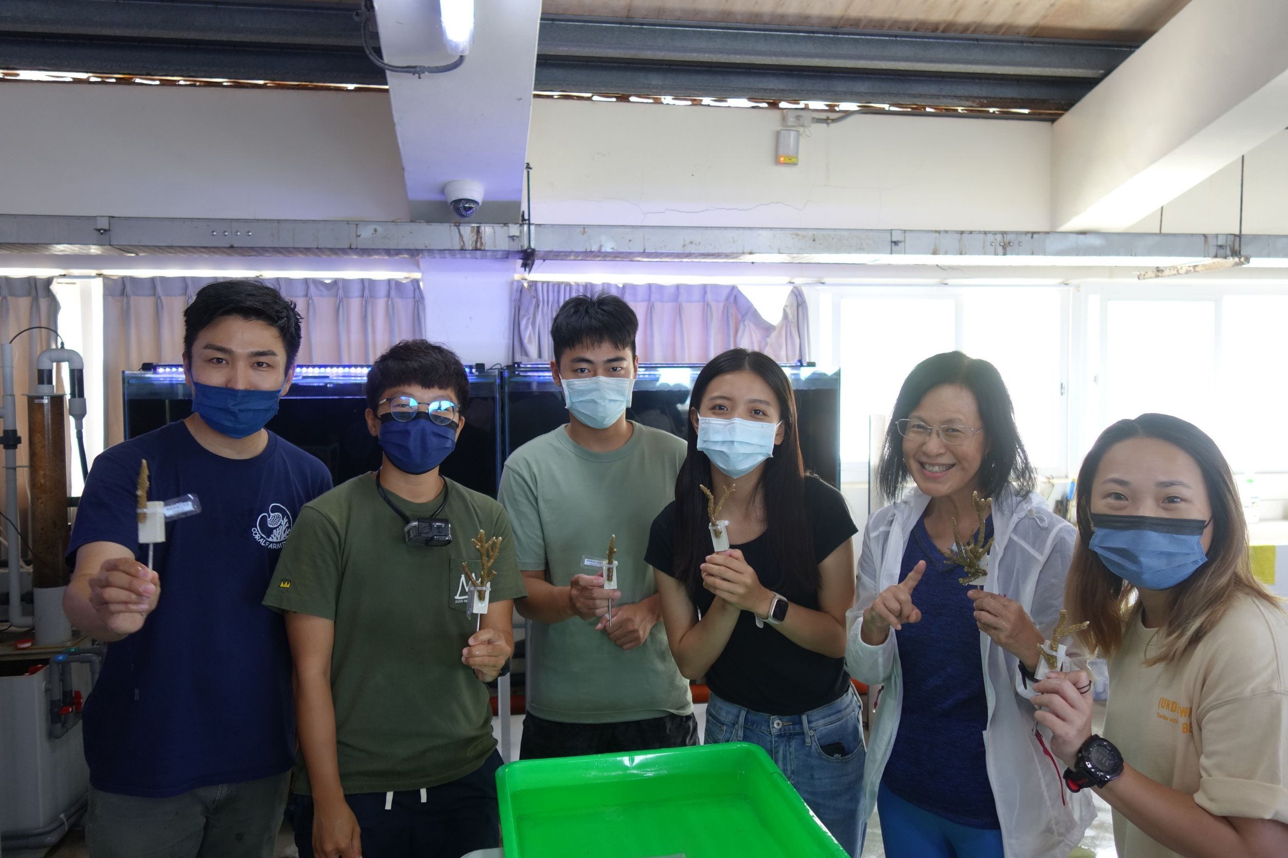 新北漁業處與海大合作   珊瑚移植工作坊招募25名志工   將開放報名