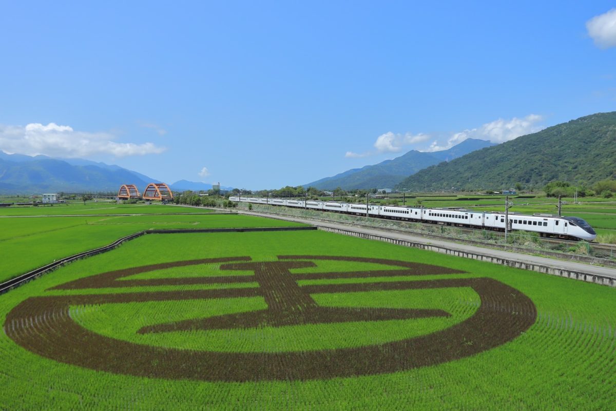 鐵道觀光新玩法   神秘稻田打卡趣