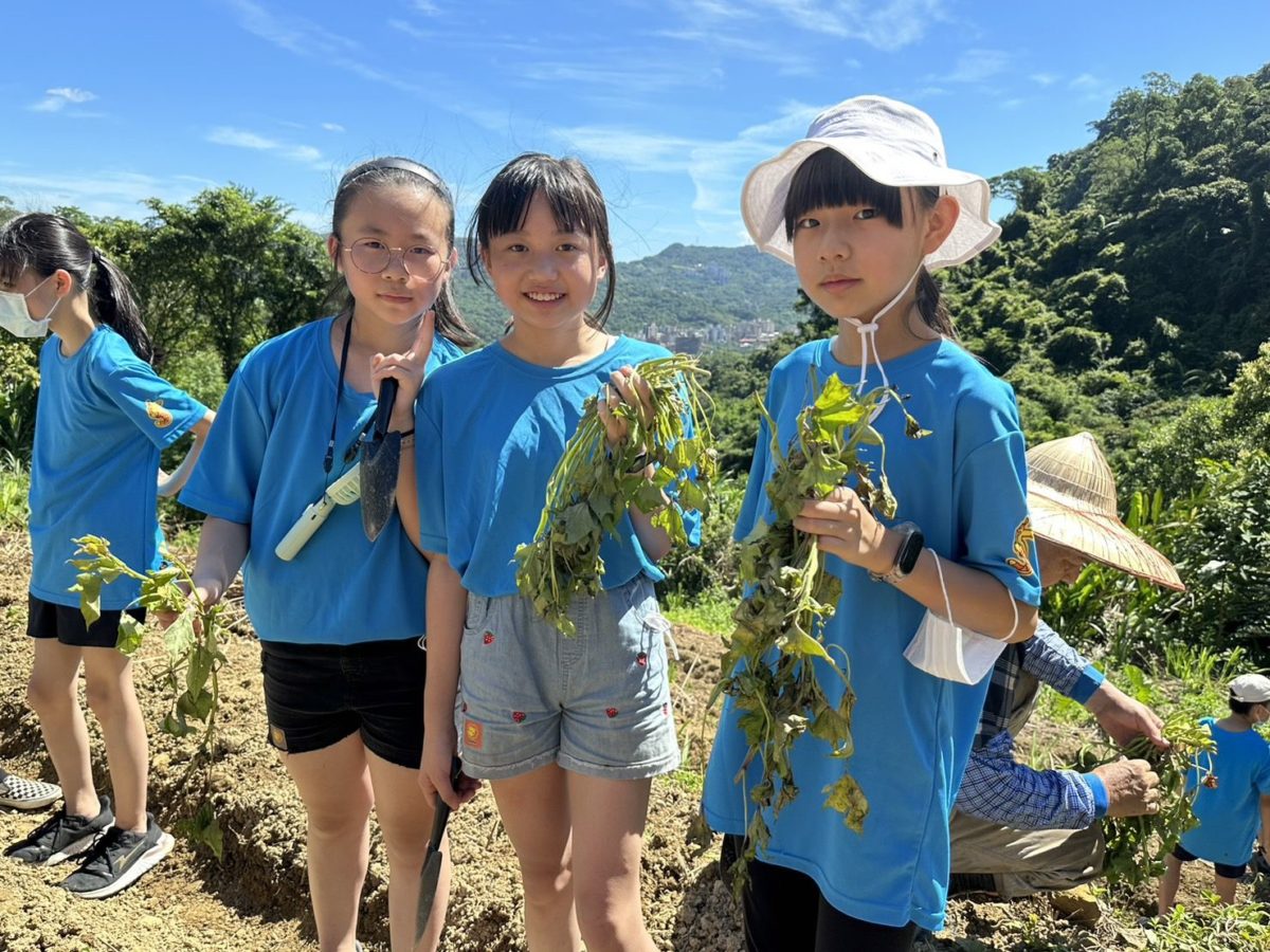 深坑農會結合食農教育做公益    連續十三年種地瓜送愛心
