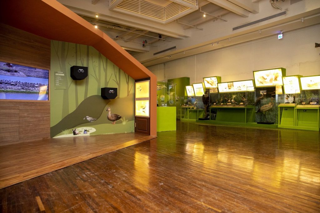 ▲臺博館展場的呈現展品的面貌。(記者 辛澎祥/攝)