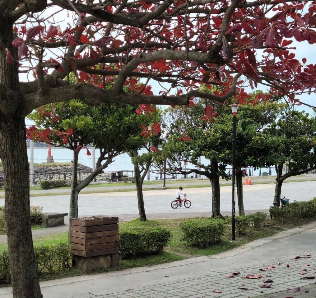 ▲「不是眼睛,是我們的心靈,有美的心靈才能感受美。」朱光潛。(圖文/林淑珠 提供)