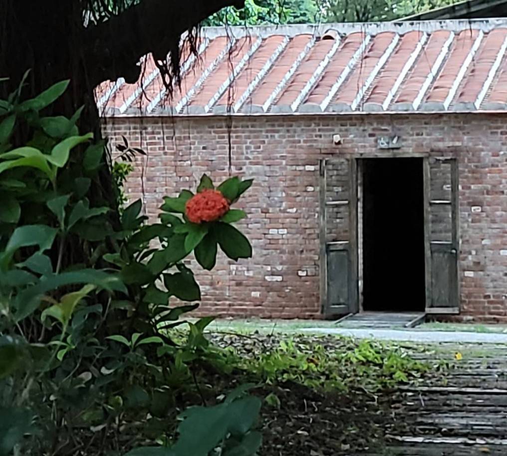 ▲「你來看此花時,則此花顏色一時明白起來。」王陽明。(圖文/林淑珠 提供)