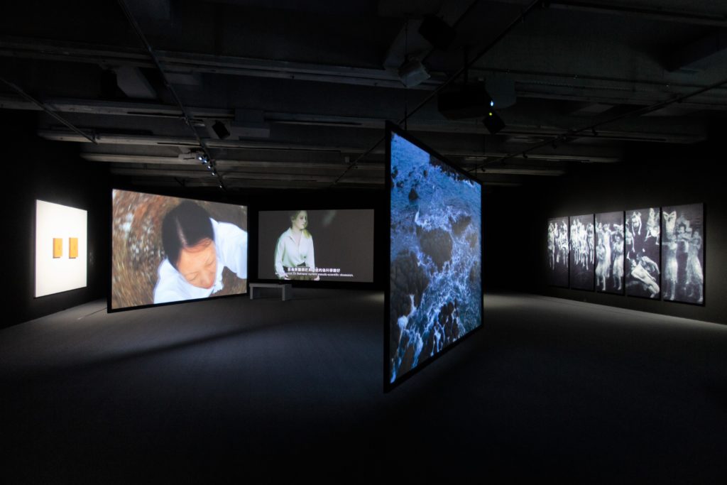 「無垠之森」場景照。(圖/臺北市立美術館提供)